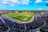 Fans Spring Training 2026