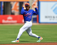 Toronto Blue Jays vs Mets March 15, 2026