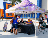 Maddie's Fight St. Lucie Mets 2021