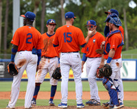 Field Discussions St. Lucie Mets 2021